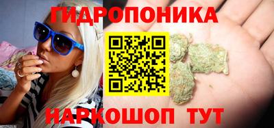 дмт Рязань