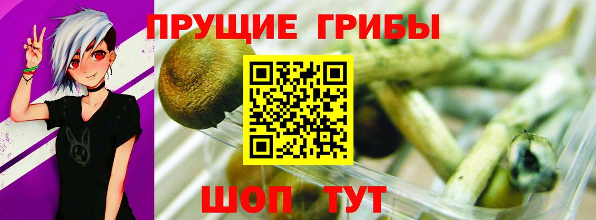 Галлюциногенные грибы Cubensis Санкт-Петербург